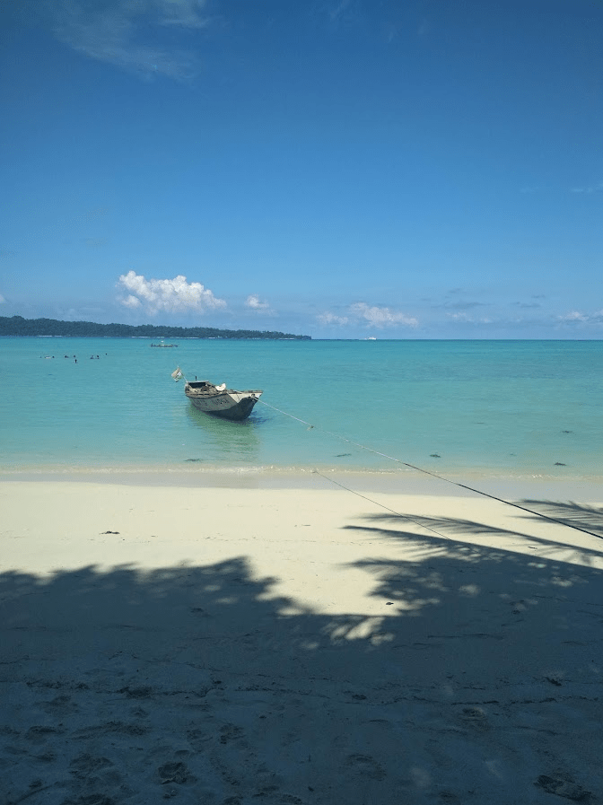 HELLO HAVELOCK …SAYS FAM